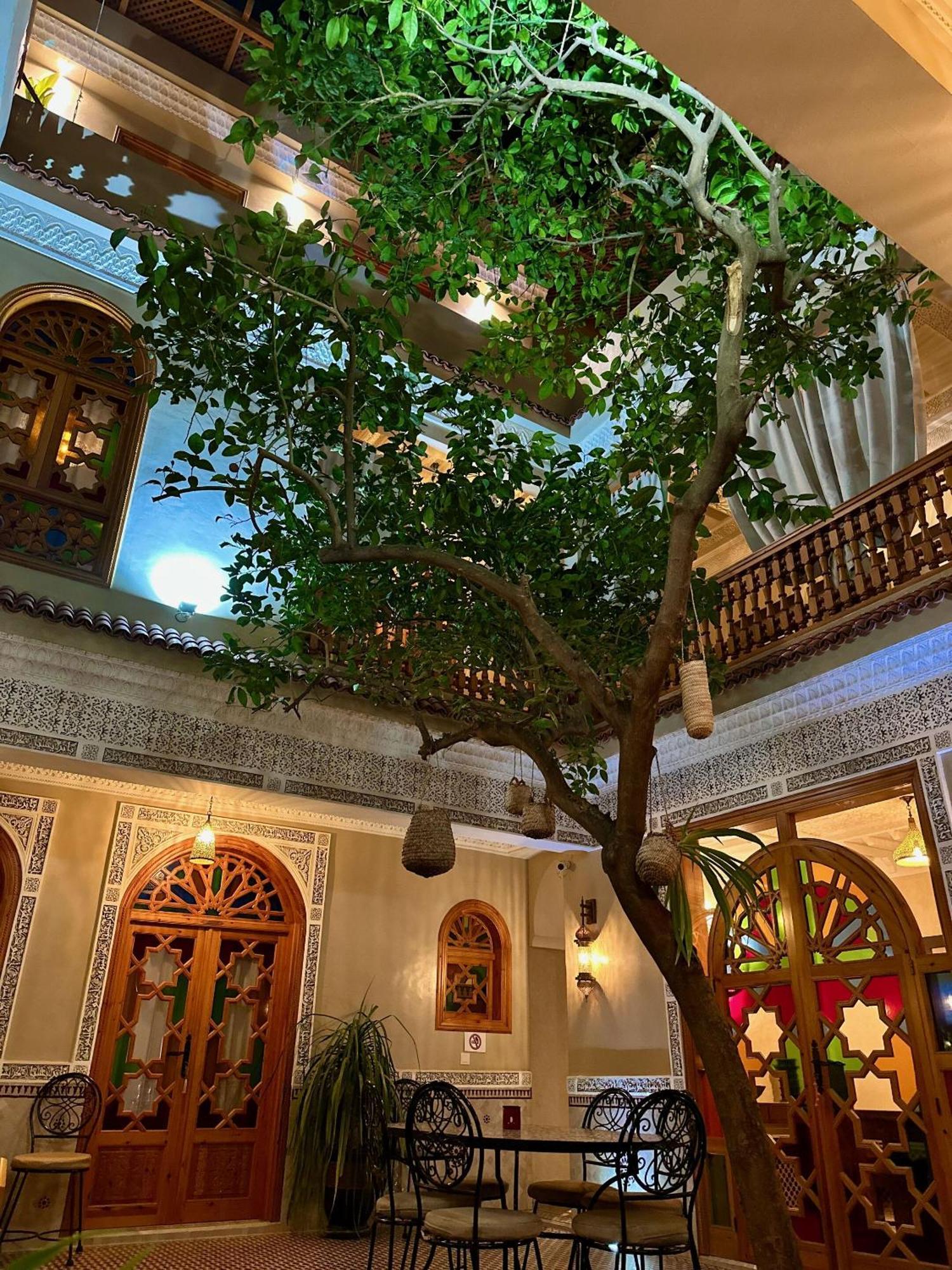 Riad Shajara Marrakesh Luaran gambar